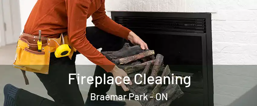  Fireplace Cleaning Braemar Park - ON