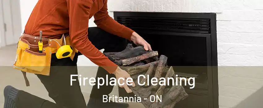  Fireplace Cleaning Britannia - ON