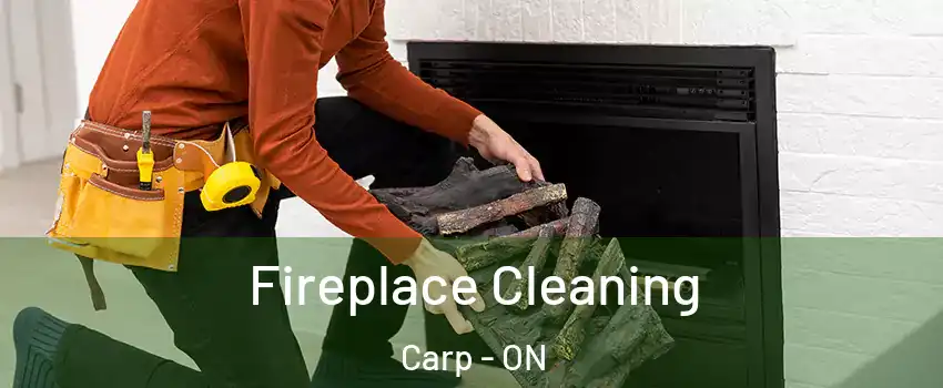  Fireplace Cleaning Carp - ON