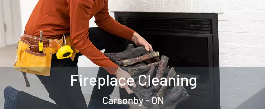  Fireplace Cleaning Carsonby - ON