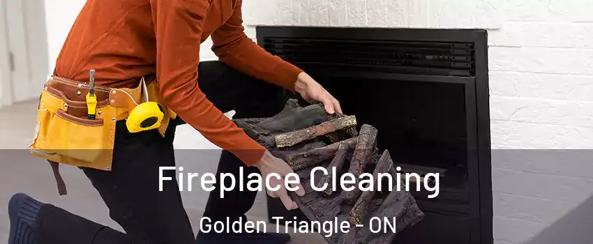  Fireplace Cleaning Golden Triangle - ON