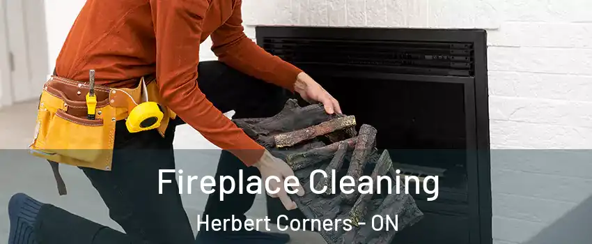  Fireplace Cleaning Herbert Corners - ON