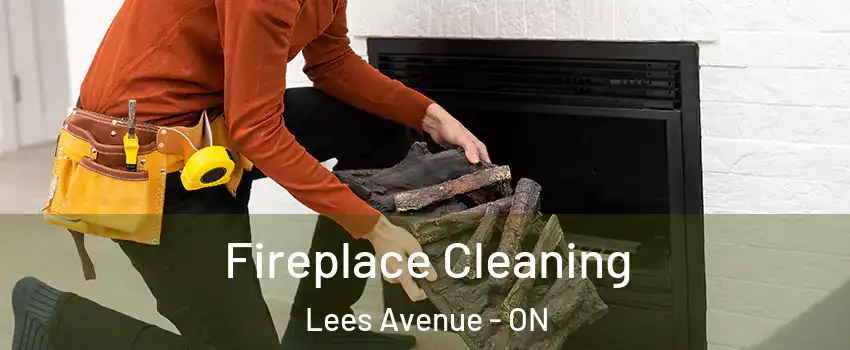  Fireplace Cleaning Lees Avenue - ON