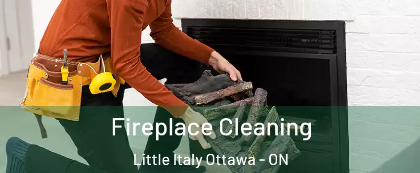  Fireplace Cleaning Little Italy Ottawa - ON