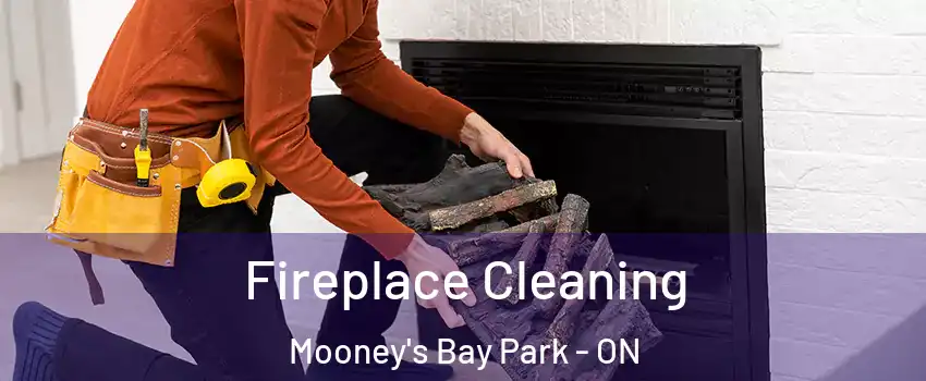  Fireplace Cleaning Mooney's Bay Park - ON