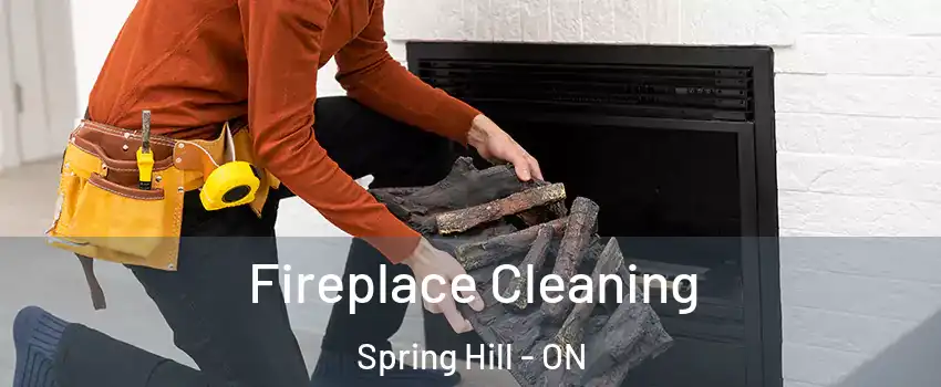  Fireplace Cleaning Spring Hill - ON