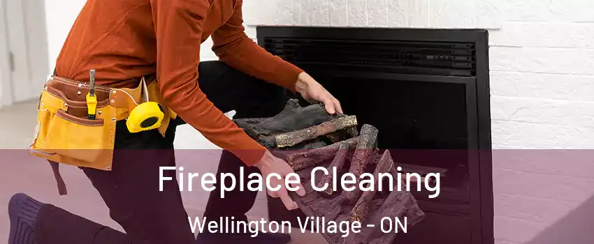  Fireplace Cleaning Wellington Village - ON