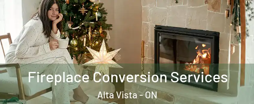  Fireplace Conversion Services Alta Vista - ON