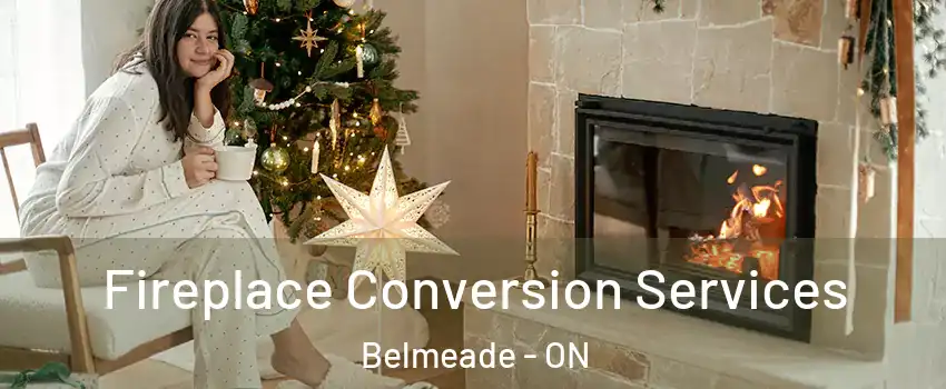  Fireplace Conversion Services Belmeade - ON