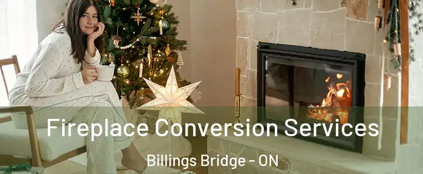  Fireplace Conversion Services Billings Bridge - ON