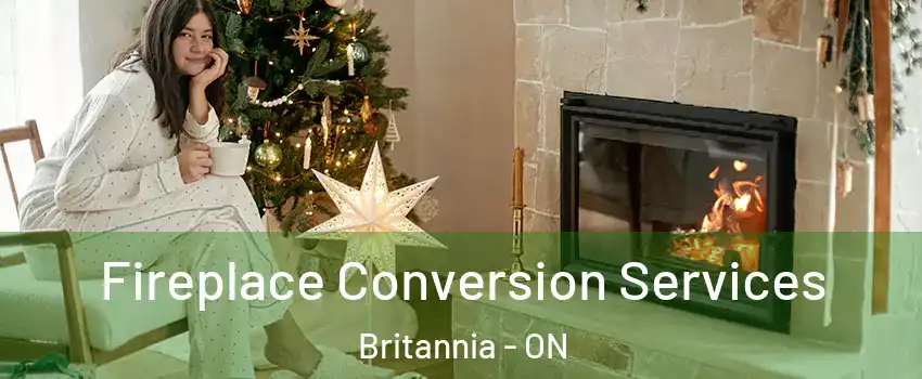  Fireplace Conversion Services Britannia - ON