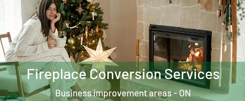  Fireplace Conversion Services Business improvement areas - ON