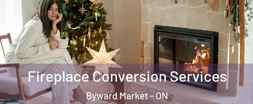  Fireplace Conversion Services Byward Market - ON