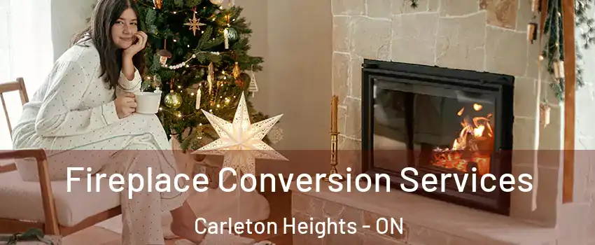  Fireplace Conversion Services Carleton Heights - ON