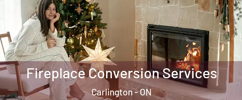  Fireplace Conversion Services Carlington - ON