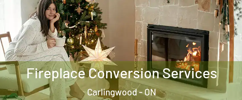  Fireplace Conversion Services Carlingwood - ON