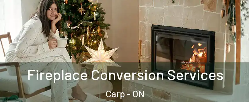  Fireplace Conversion Services Carp - ON