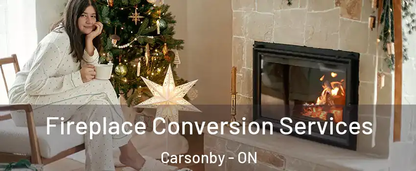  Fireplace Conversion Services Carsonby - ON