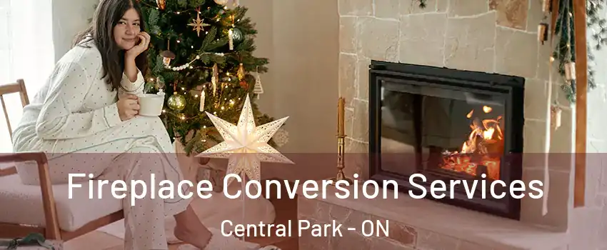  Fireplace Conversion Services Central Park - ON