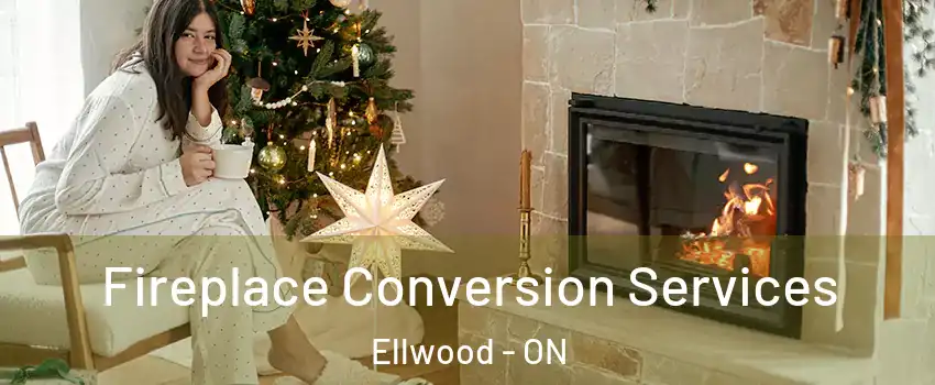  Fireplace Conversion Services Ellwood - ON