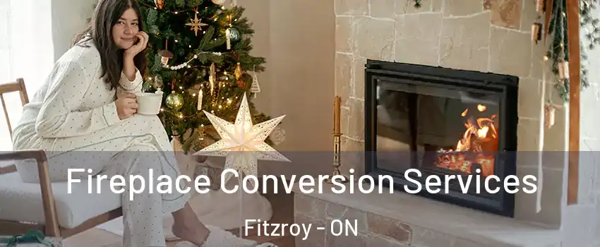  Fireplace Conversion Services Fitzroy - ON