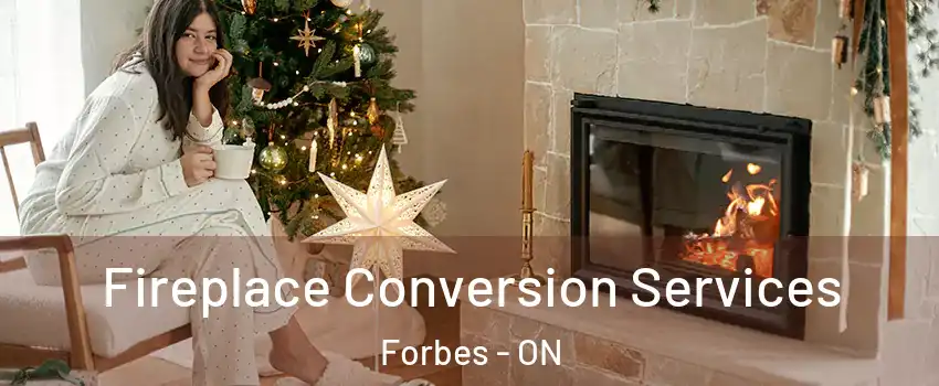  Fireplace Conversion Services Forbes - ON