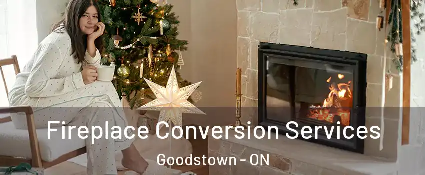  Fireplace Conversion Services Goodstown - ON