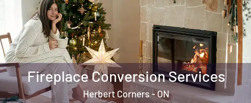  Fireplace Conversion Services Herbert Corners - ON