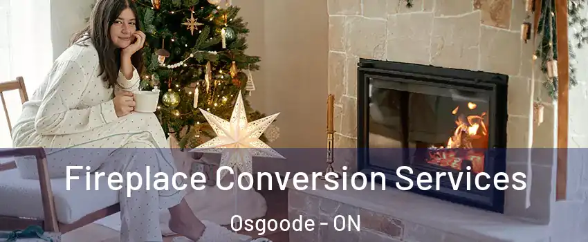  Fireplace Conversion Services Osgoode - ON