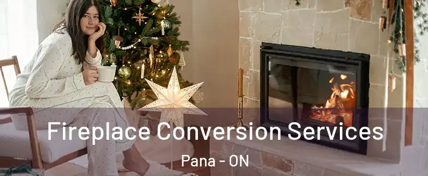  Fireplace Conversion Services Pana - ON