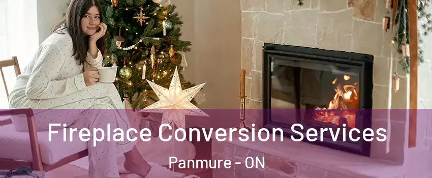  Fireplace Conversion Services Panmure - ON