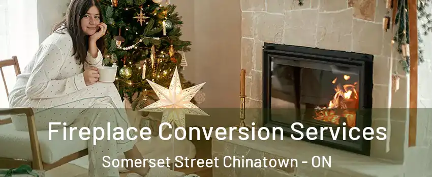  Fireplace Conversion Services Somerset Street Chinatown - ON