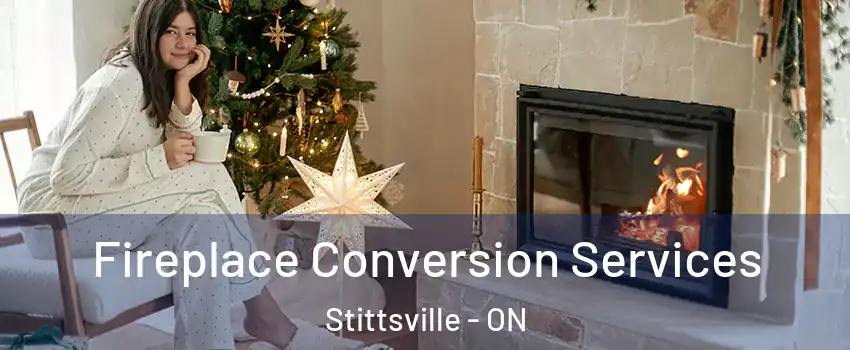  Fireplace Conversion Services Stittsville - ON