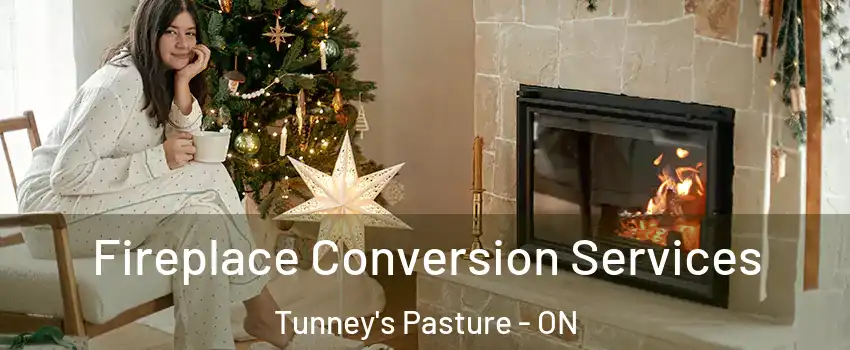  Fireplace Conversion Services Tunney's Pasture - ON