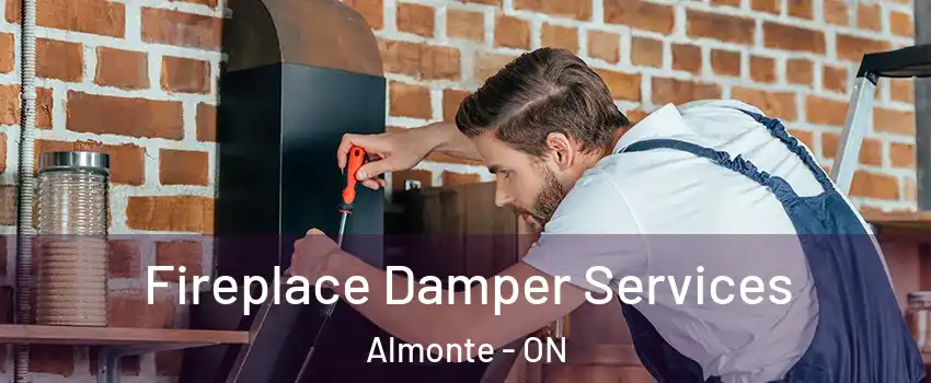  Fireplace Damper Services Almonte - ON