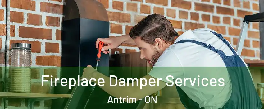  Fireplace Damper Services Antrim - ON