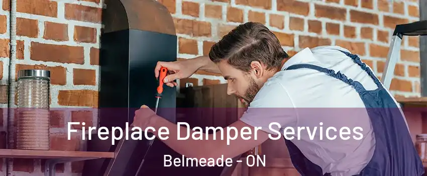  Fireplace Damper Services Belmeade - ON