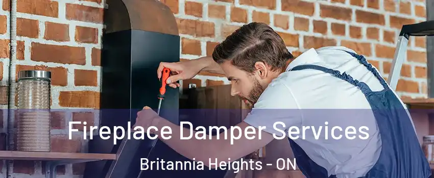  Fireplace Damper Services Britannia Heights - ON