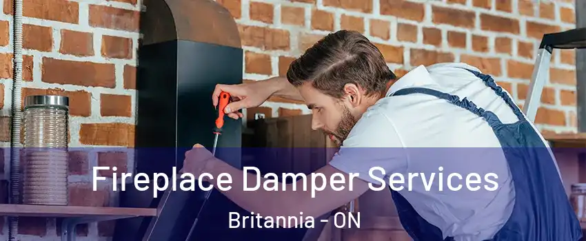  Fireplace Damper Services Britannia - ON