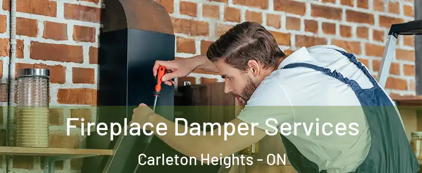  Fireplace Damper Services Carleton Heights - ON