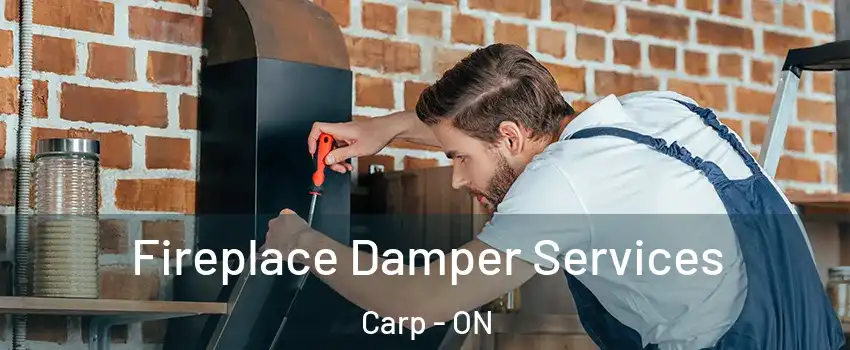  Fireplace Damper Services Carp - ON