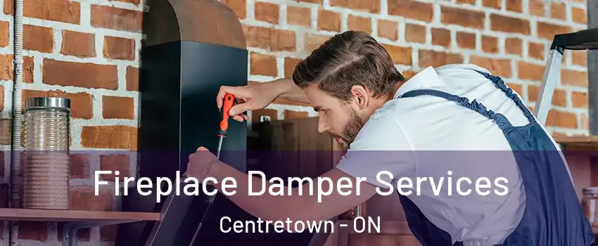  Fireplace Damper Services Centretown - ON