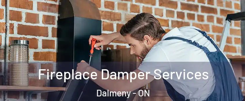  Fireplace Damper Services Dalmeny - ON