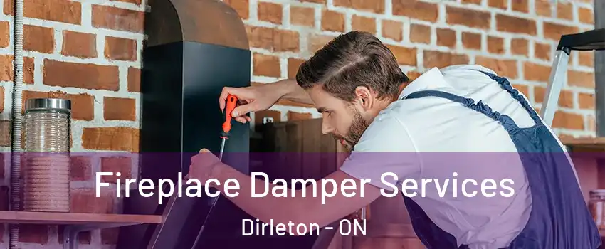  Fireplace Damper Services Dirleton - ON