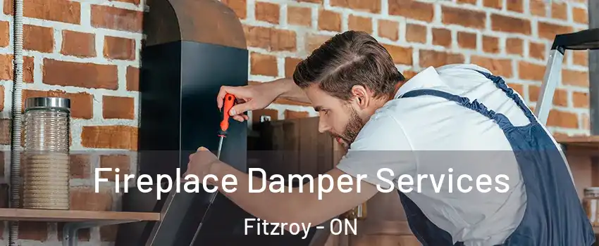  Fireplace Damper Services Fitzroy - ON