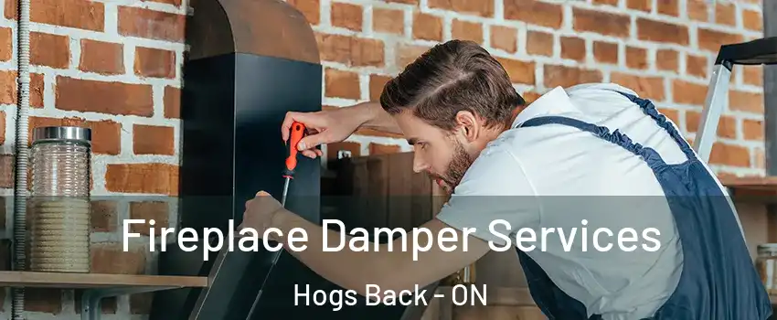  Fireplace Damper Services Hogs Back - ON