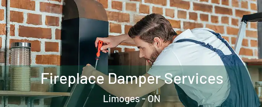  Fireplace Damper Services Limoges - ON