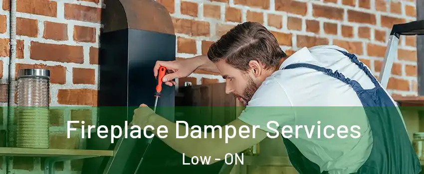  Fireplace Damper Services Low - ON