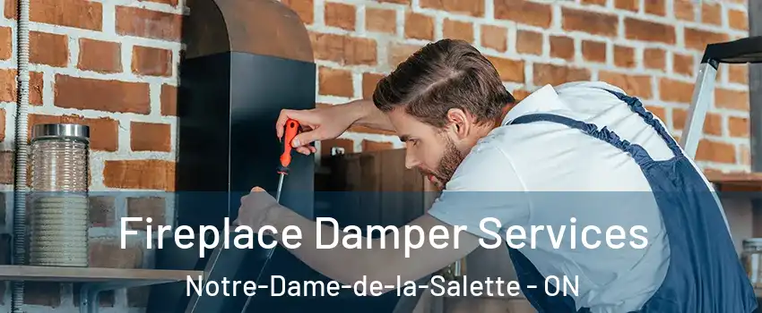  Fireplace Damper Services Notre-Dame-de-la-Salette - ON