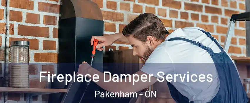  Fireplace Damper Services Pakenham - ON